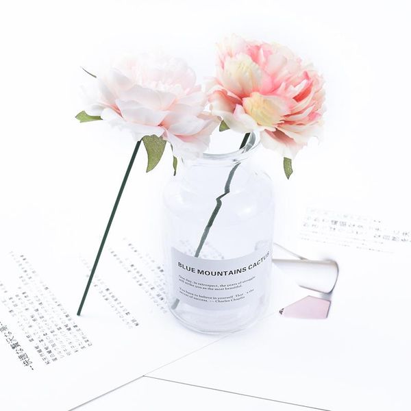 6 fresh peony flower head artificial flowers for scrapbooking wedding bride wrist flower material home decor diy wmtsap
6 fresh peony flower head artificial flowers for scrapbooking wedding bride wrist flower material home decor diy wmtsap