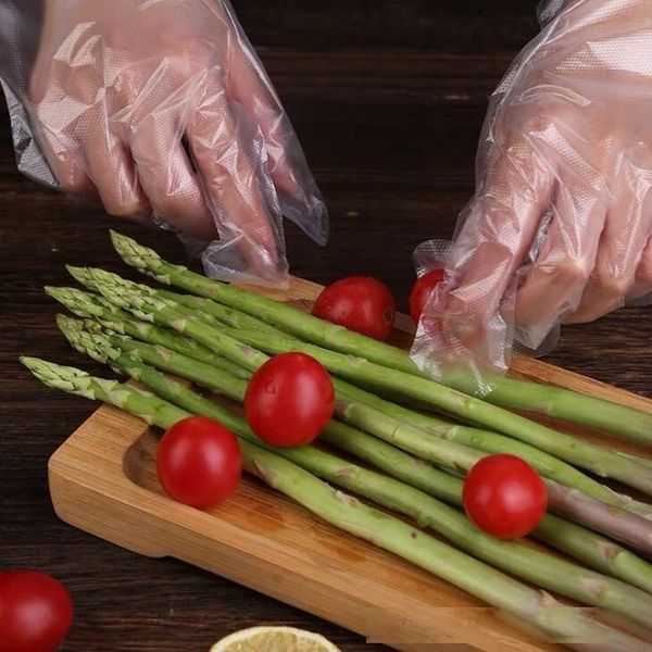 bbq factory/lot disposable one-off restaurant plastic transparent eco-friendly pe gloves kitchen garden accessories lx19
bbq factory/lot disposable one-off restaurant plastic transparent eco-friendly pe gloves kitchen garden accessories lx19