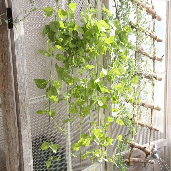 5pcs artificial green leaf rattan clematis wicker branch diy wall hanging home wedding decoration flower accessories leaves
5pcs artificial green leaf rattan clematis wicker branch diy wall hanging home wedding decoration flower accessories leaves