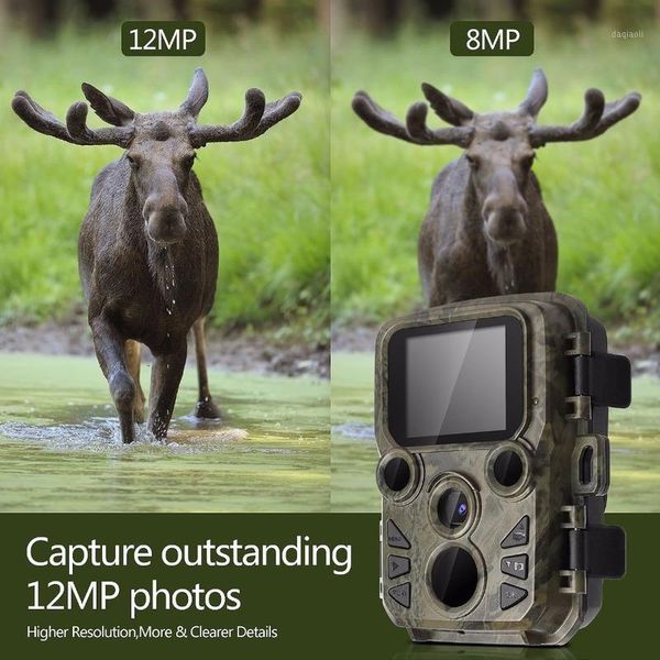 new 12mp 1080p mini 300 trail camera hunting game outdoor wildlife scouting camera with pir sensor fast trigger ip66 waterproof1
new 12mp 1080p mini 300 trail camera hunting game outdoor wildlife scouting camera with pir sensor fast trigger ip66 waterproof1