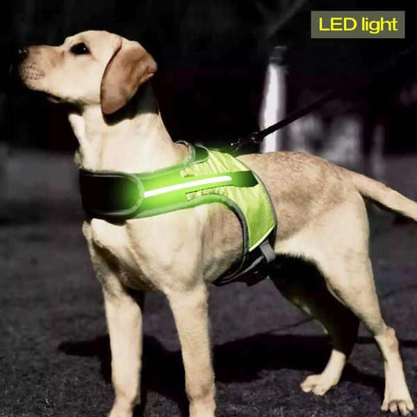dog collars & leashes led luminous harness pet collar safety reflective vest for husky shepherd labrador medium large dogs supplies
dog collars & leashes led luminous harness pet collar safety reflective vest for husky shepherd labrador medium large dogs supplies