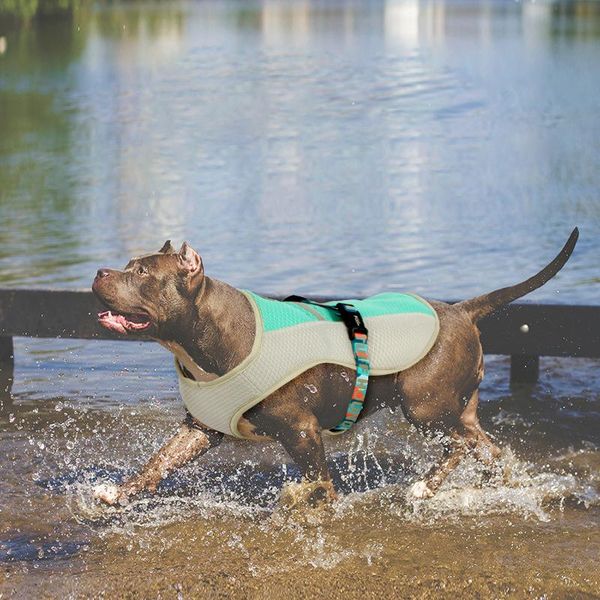 dog collars & leashes pet cooling vest summer clothes for small and big mesh harness reflective belt harnesses accessories breakaway
dog collars & leashes pet cooling vest summer clothes for small and big mesh harness reflective belt harnesses accessories breakaway