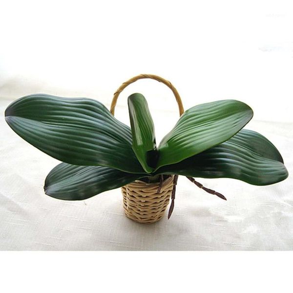 decorative flowers & wreaths real touch phalaenopsis leaf artificial plant auxiliary material flower decoration orchid leaves1
decorative flowers & wreaths real touch phalaenopsis leaf artificial plant auxiliary material flower decoration orchid leaves1