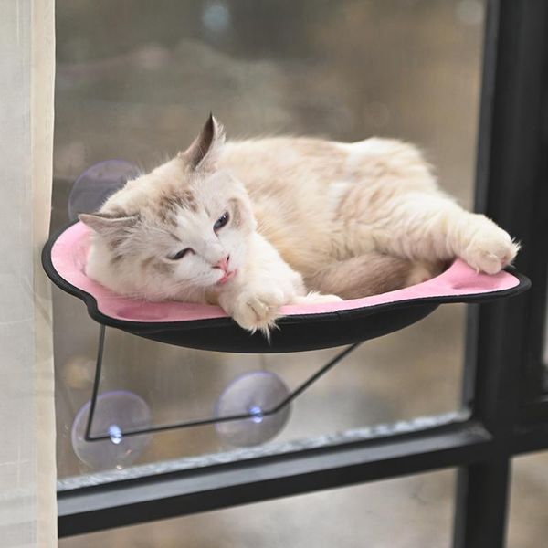 cat beds & furniture cats bed window perch seat suction cups space saving hammock pet resting shelves aug889
cat beds & furniture cats bed window perch seat suction cups space saving hammock pet resting shelves aug889