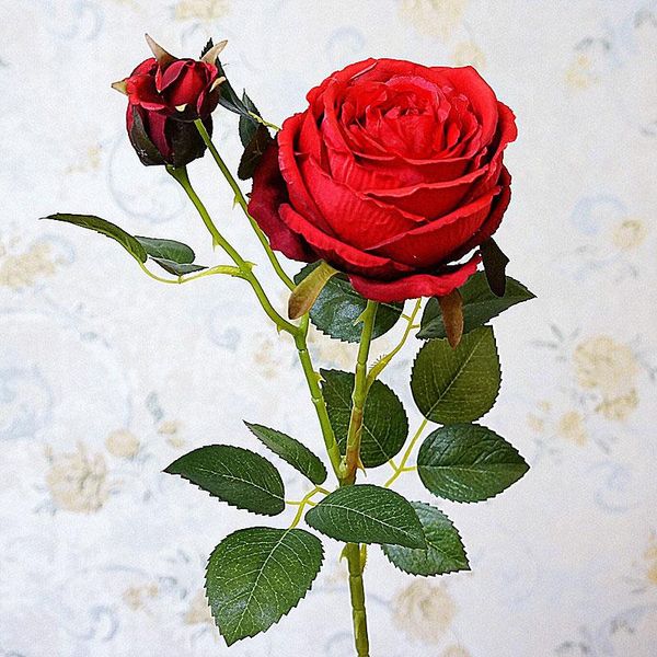 decorative flowers & wreaths 3 forks rose bouquet green leaves party artificial home vase arrangement decoration small wedding decor
decorative flowers & wreaths 3 forks rose bouquet green leaves party artificial home vase arrangement decoration small wedding decor