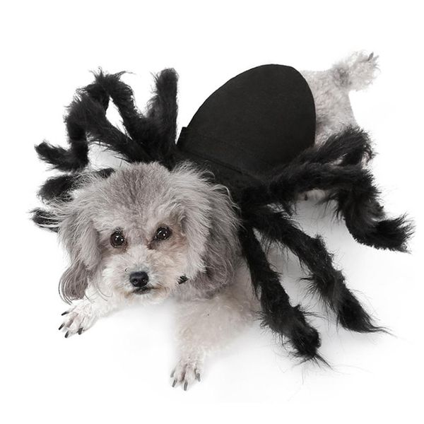 halloween pet cat одежда для костюма mascotas одежда для домашних толстовок симпатичные кошка одежда щенок рождества теплый домашний кот кур
halloween pet cat одежда для костюма mascotas одежда для домашних толстовок симпатичные кошка одежда щенок рождества теплый домашний кот кур