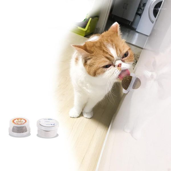 cat playing catnip balls pet cat grass ball natural catnip ball flavor kitten treat cats playing cleaning teeth toy1
cat playing catnip balls pet cat grass ball natural catnip ball flavor kitten treat cats playing cleaning teeth toy1