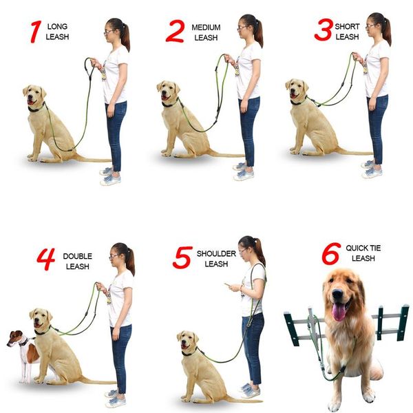 6 way multi-functional hands dog leash heavy duty nylon pet training leash for medium large dogs re bbyxte
6 way multi-functional hands dog leash heavy duty nylon pet training leash for medium large dogs re bbyxte