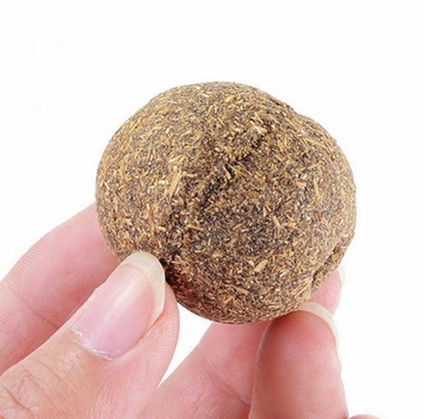 natural catnip toys for cats crazy healthy cat toys for kitten edible treating cleaning teeth cat supplies pet toy pet products jllkbc
natural catnip toys for cats crazy healthy cat toys for kitten edible treating cleaning teeth cat supplies pet toy pet products jllkbc