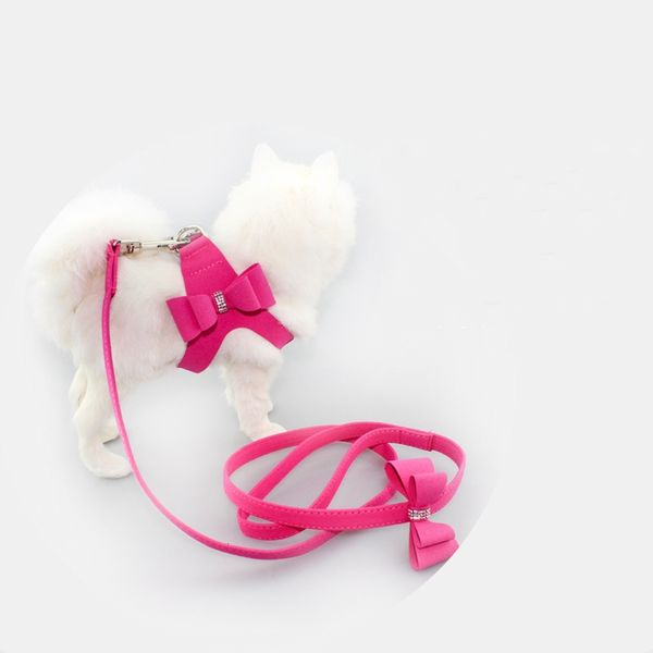 schnauzer pet suppliers accessories no pull dog harness small leash beagle red bow pitbull pug puppy collar bandana high quality
schnauzer pet suppliers accessories no pull dog harness small leash beagle red bow pitbull pug puppy collar bandana high quality