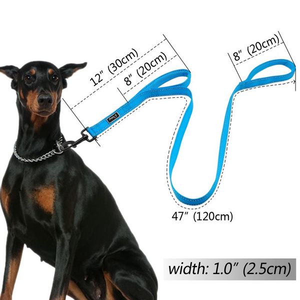 2 handles nylon padded double handle leash for greater control for medium large dog dual padded handles protect dog in wmtozf
2 handles nylon padded double handle leash for greater control for medium large dog dual padded handles protect dog in wmtozf