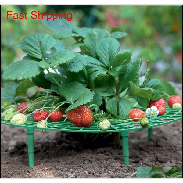 strawberry supports keeping fruit elevated to avoid ground rot plant support with 4 sturdy legs qylptt yh_pack
strawberry supports keeping fruit elevated to avoid ground rot plant support with 4 sturdy legs qylptt yh_pack