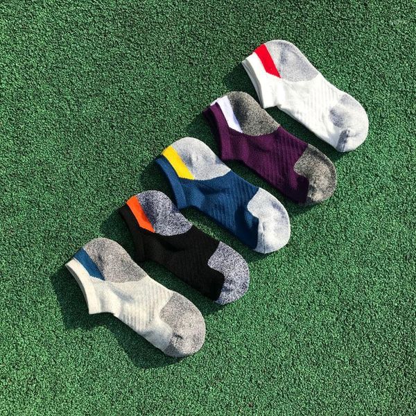 sports socks men running sport cotton compression cycling professional basketball bike low cut run sock1, Black
sports socks men running sport cotton compression cycling professional basketball bike low cut run sock1, Black