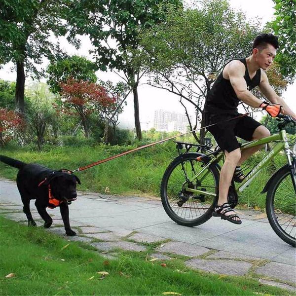 nylon strong pet dog leash with gloves set hands retractable elastic belt dogs leashes outdoor riding dog training supplies1
nylon strong pet dog leash with gloves set hands retractable elastic belt dogs leashes outdoor riding dog training supplies1