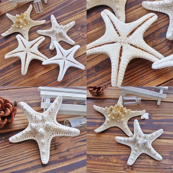 starfish ocean sea star natural tropical wedding party home wall hanging decor 2 6qm uu
starfish ocean sea star natural tropical wedding party home wall hanging decor 2 6qm uu