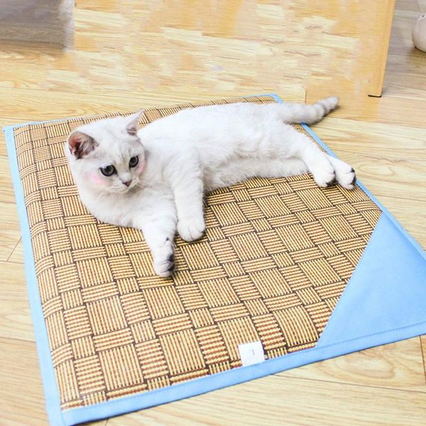 kennels & pens summer sponge mats pet comfort cooling supplies two-sided dual-use straw mat cat blanket
kennels & pens summer sponge mats pet comfort cooling supplies two-sided dual-use straw mat cat blanket