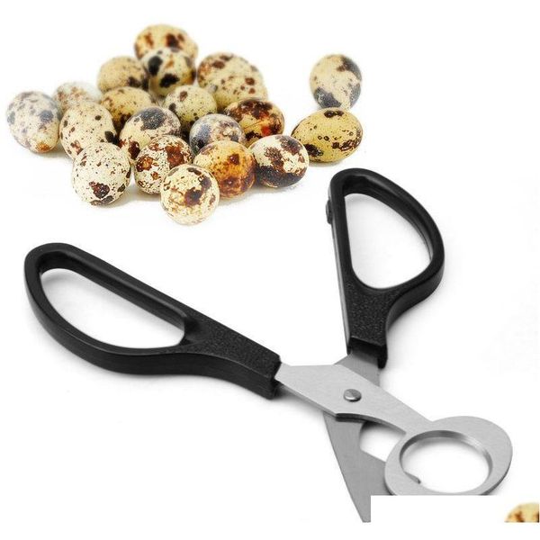 pigeon quail egg scissor tijera tesoura bird egg cutter opener kitchen tool clipper black 100pcs/lot voinl
pigeon quail egg scissor tijera tesoura bird egg cutter opener kitchen tool clipper black 100pcs/lot voinl