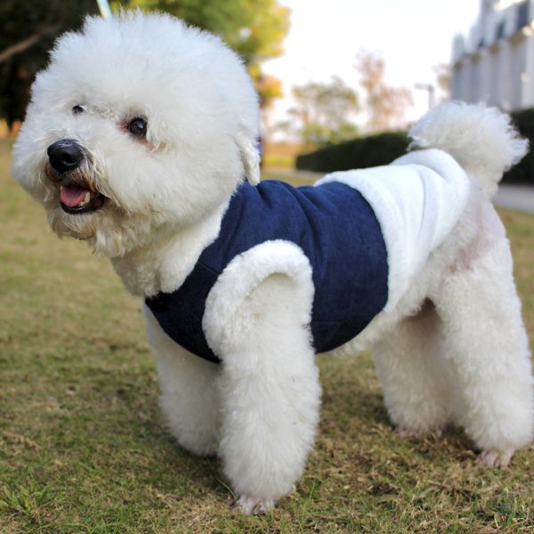 pet clothes designer dog clothing fashion warm plush cotton coat pet dog walking clothes soft outdoor outwear wholesale
pet clothes designer dog clothing fashion warm plush cotton coat pet dog walking clothes soft outdoor outwear wholesale