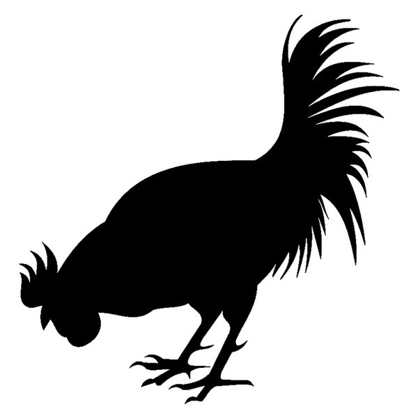 17.7cm*18.1cm rooster chicken bird animal decor decal vinyl car sticker black/silver s3-5594
17.7cm*18.1cm rooster chicken bird animal decor decal vinyl car sticker black/silver s3-5594