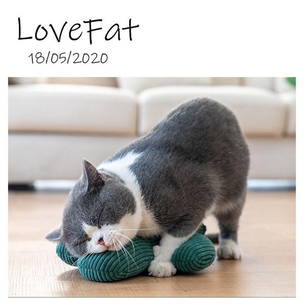 cat toys funny cactus interactive plush toy teeth grinding catnip kitten playing pillow thumb bite mint for cats
cat toys funny cactus interactive plush toy teeth grinding catnip kitten playing pillow thumb bite mint for cats