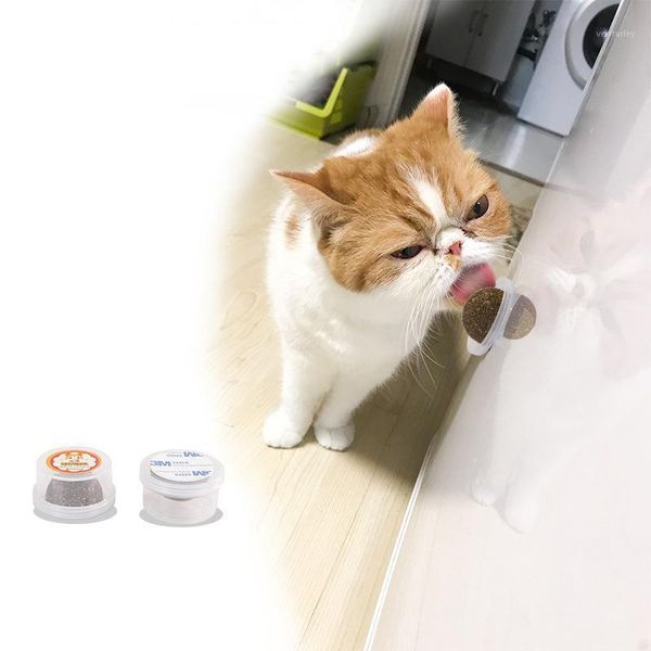 cat toys 2pcs natural catnip cats crazy healthy for kitten edible treating cleaning teeth supplies pet toy products1
cat toys 2pcs natural catnip cats crazy healthy for kitten edible treating cleaning teeth supplies pet toy products1