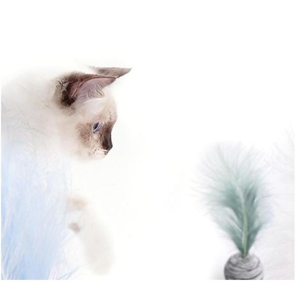 cat toy star ball plus feather eva material light foam ball throwing toy pet products for cats dogs kitt bbysfq
cat toy star ball plus feather eva material light foam ball throwing toy pet products for cats dogs kitt bbysfq