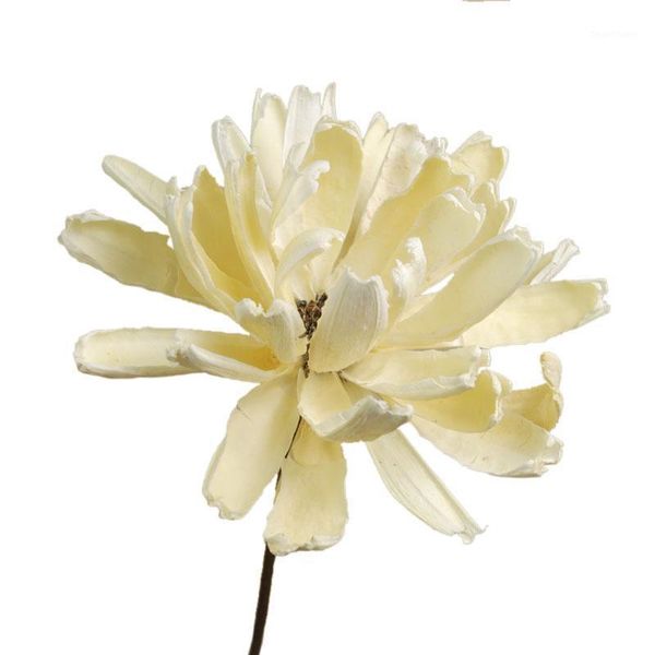 4pcs,natural dried flower branch,real material craft nopalxochia ackermannii,wedding home decoration accessories ,display flower1
4pcs,natural dried flower branch,real material craft nopalxochia ackermannii,wedding home decoration accessories ,display flower1
