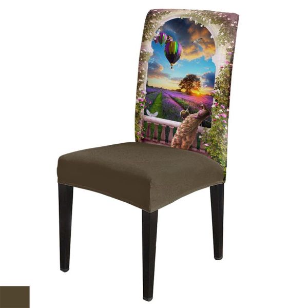 chair covers colorful peacock air balloon lavender cover spandex elastic printing dining kitchen seat case stretch
chair covers colorful peacock air balloon lavender cover spandex elastic printing dining kitchen seat case stretch