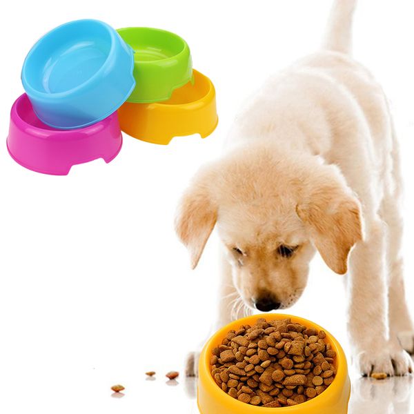 plastic small bowl candy color pet dog feeding dish cat puppy drinking water bowls pets feeder
plastic small bowl candy color pet dog feeding dish cat puppy drinking water bowls pets feeder