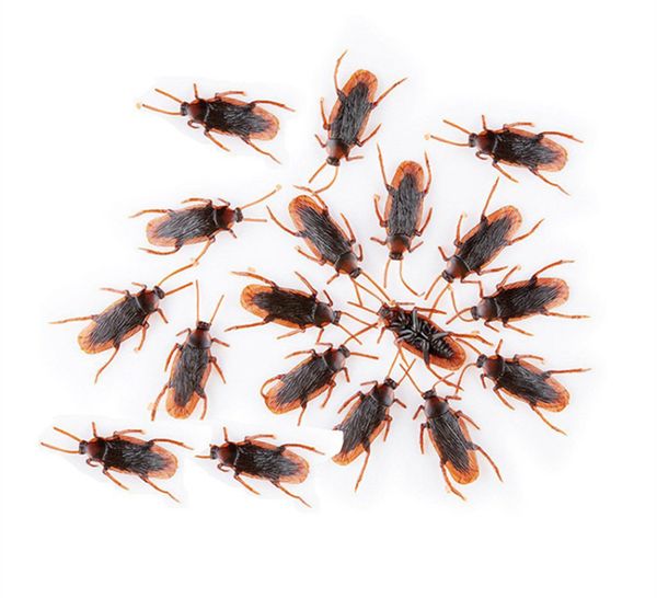 toy animal 500pcs simulated cockroach children tricky toys kids educational plaything kuso novel funny plastic toy
toy animal 500pcs simulated cockroach children tricky toys kids educational plaything kuso novel funny plastic toy