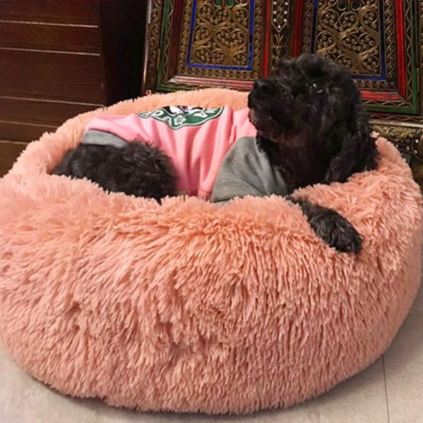 cat cave house теплый pet bed bed pet dog house мягкая домашняя собака подушка кошка кровать дома мягкий кошка кровать chihuahua bbylwu
cat cave house теплый pet bed bed pet dog house мягкая домашняя собака подушка кошка кровать дома мягкий кошка кровать chihuahua bbylwu