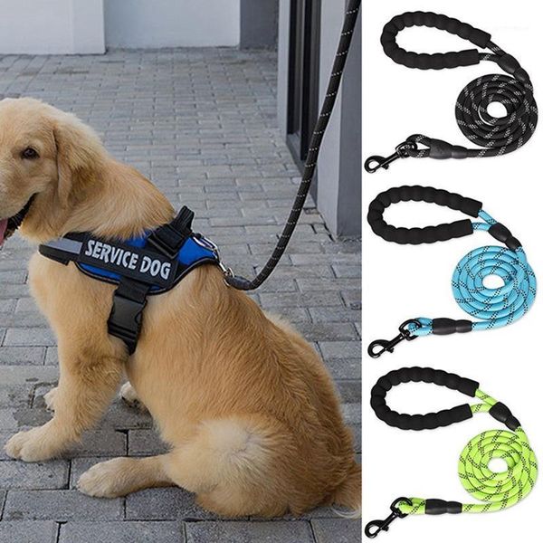 dog collars & leashes durable nylon harness color 1.5m pet leash walking training cats dogs strap belt rope1
dog collars & leashes durable nylon harness color 1.5m pet leash walking training cats dogs strap belt rope1