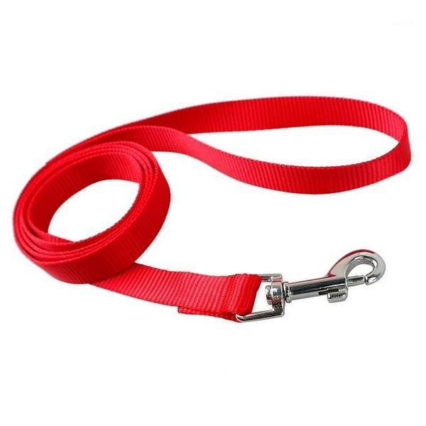 solid cat walk the dog collar leash for dogs pet leashes leather belt durable fastness pets cats chains1
solid cat walk the dog collar leash for dogs pet leashes leather belt durable fastness pets cats chains1