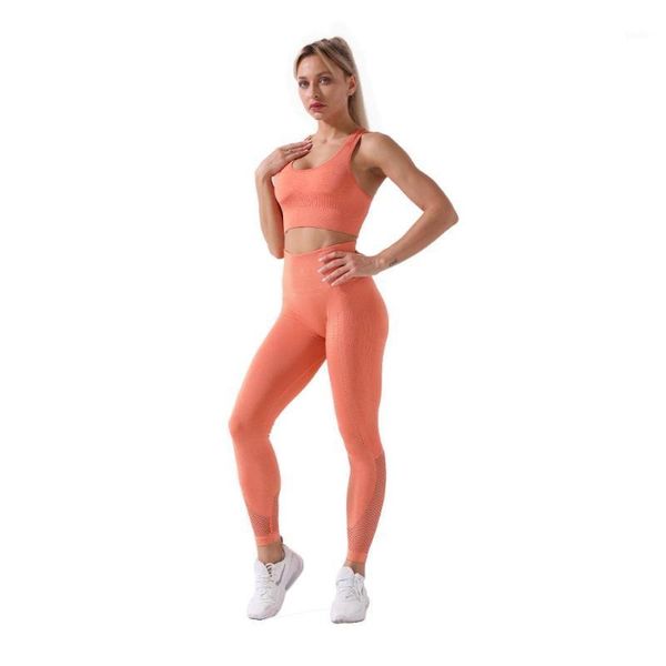 new women's yoga fitness bra set, knitted seamless sports gym fitness outdoor sports yoga set bra+pants ds991, White;red
new women's yoga fitness bra set, knitted seamless sports gym fitness outdoor sports yoga set bra+pants ds991, White;red