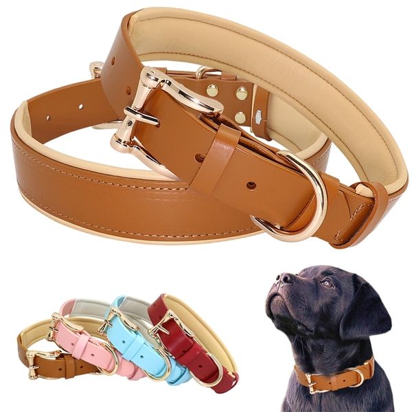 leather, big collar, german collar can be adjusted to medium pet dog and bulldog products
leather, big collar, german collar can be adjusted to medium pet dog and bulldog products