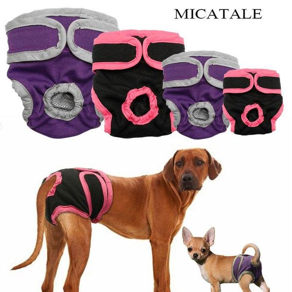 micatale female dog shorts puppy physiological pants dog diaper pet underwear washable briefs for small meidium girl dogs
micatale female dog shorts puppy physiological pants dog diaper pet underwear washable briefs for small meidium girl dogs