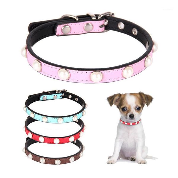 dog collars & leashes pu leather pearls collar for small puppy dogs chihuahua adjustable cat cute necklace pet supplies1
dog collars & leashes pu leather pearls collar for small puppy dogs chihuahua adjustable cat cute necklace pet supplies1