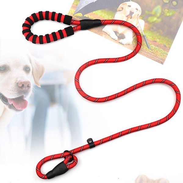 new pet reflective hand holding rope comfortable nylon material strong durable portable pet supplies multiple colors1
new pet reflective hand holding rope comfortable nylon material strong durable portable pet supplies multiple colors1