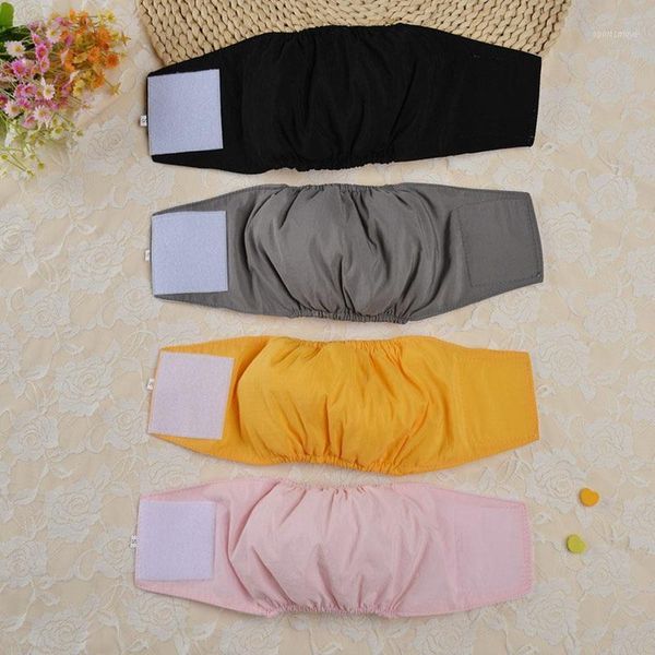 dog apparel shorts hygiene waterproof puppy physiological pants diaper pet underwear for small medium girl dogs1
dog apparel shorts hygiene waterproof puppy physiological pants diaper pet underwear for small medium girl dogs1