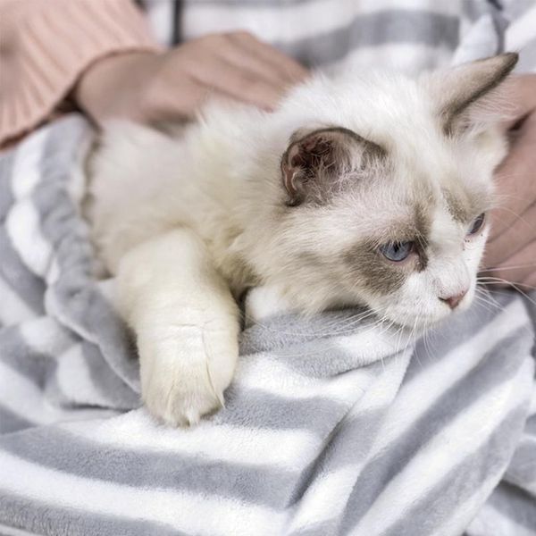 cat carrier bag soft comfortable cat dog sleeping bag apron cats puppy outdoor travel sling shoulder bag pet wmtwcx
cat carrier bag soft comfortable cat dog sleeping bag apron cats puppy outdoor travel sling shoulder bag pet wmtwcx