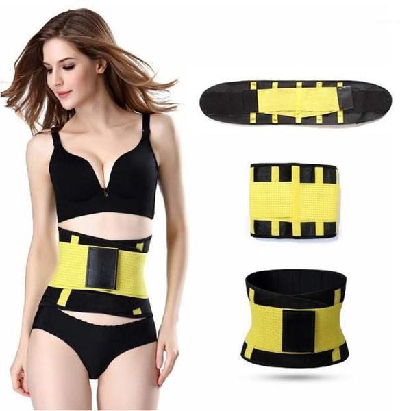 new back support sports belt waist trim trainer muscle exercise abdominal fitness belt sports safety support1, Black;gray
new back support sports belt waist trim trainer muscle exercise abdominal fitness belt sports safety support1, Black;gray