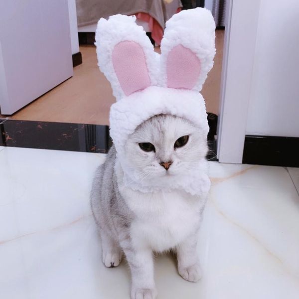 funny pet cat kitten cosplay costume rabbit hat cap cute cat halloween christmas clothing hats small dogs acc jllwtp
funny pet cat kitten cosplay costume rabbit hat cap cute cat halloween christmas clothing hats small dogs acc jllwtp