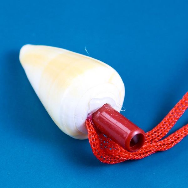 natural conch whistle pendant necklace small conch shell whistle craft gift kids toy survival tool souvenir instrument equipment h bbyaxj
natural conch whistle pendant necklace small conch shell whistle craft gift kids toy survival tool souvenir instrument equipment h bbyaxj