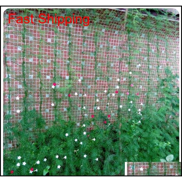 6ft garden fence millipore nylon net climbing frame gardening net plant fence anti-bird net vegetable plant qylwqj yh_pack
6ft garden fence millipore nylon net climbing frame gardening net plant fence anti-bird net vegetable plant qylwqj yh_pack