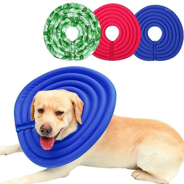 dog collars & leashes light elizabeth anti-bite protective for dogs pet wound healing cat health collar circle 10a1
dog collars & leashes light elizabeth anti-bite protective for dogs pet wound healing cat health collar circle 10a1
