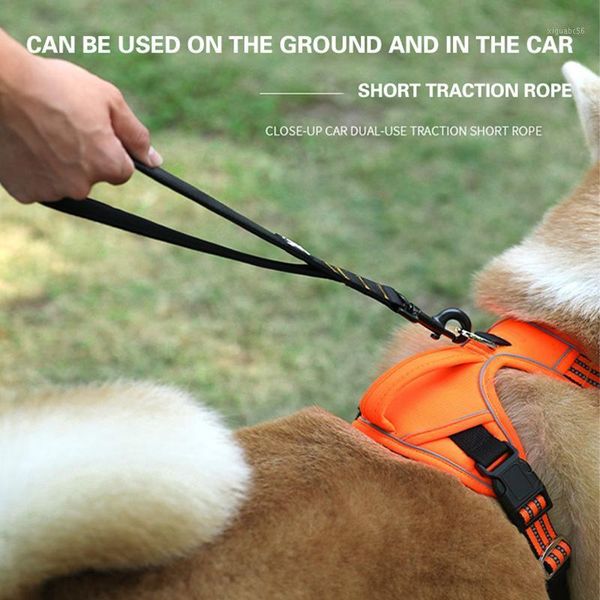 durable pet dog leash car seat belt nylon short pet dog leash outdoor walking traction rope for cat training accessories1
durable pet dog leash car seat belt nylon short pet dog leash outdoor walking traction rope for cat training accessories1