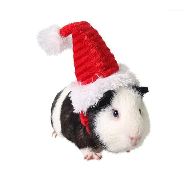 dog apparel christmas hat cap costume outfits headwear hair grooming accessories for cat pet hamster1
dog apparel christmas hat cap costume outfits headwear hair grooming accessories for cat pet hamster1