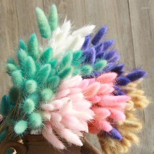 decorative flowers & wreaths 30pcs/lot gradient lagurus natural dried bouquet wedding home decoration tail grass real flowers1
decorative flowers & wreaths 30pcs/lot gradient lagurus natural dried bouquet wedding home decoration tail grass real flowers1