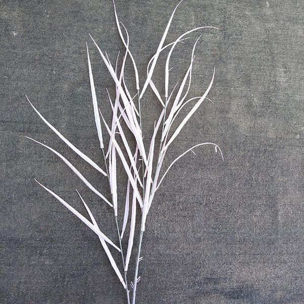 simulation autumn reed simulation onion grass autumn reed grass set plant home decoration
simulation autumn reed simulation onion grass autumn reed grass set plant home decoration