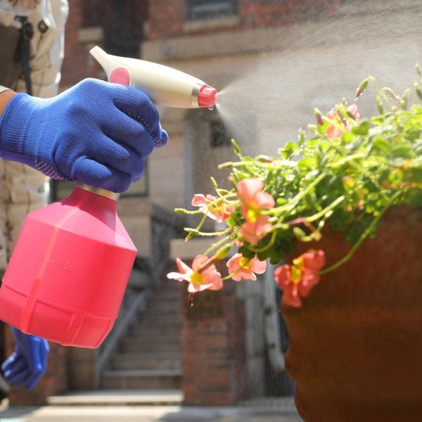 watering equipments 1000ml electric can indoor outdoor plants flower spray bottle garden mist tool one-button adjustable sprayer sprinkler
watering equipments 1000ml electric can indoor outdoor plants flower spray bottle garden mist tool one-button adjustable sprayer sprinkler